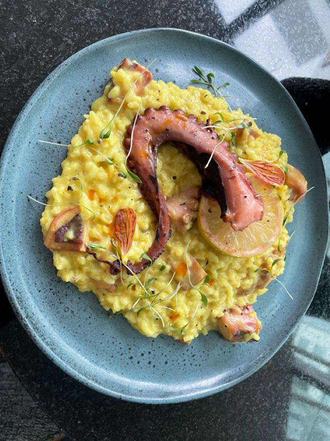 dish img