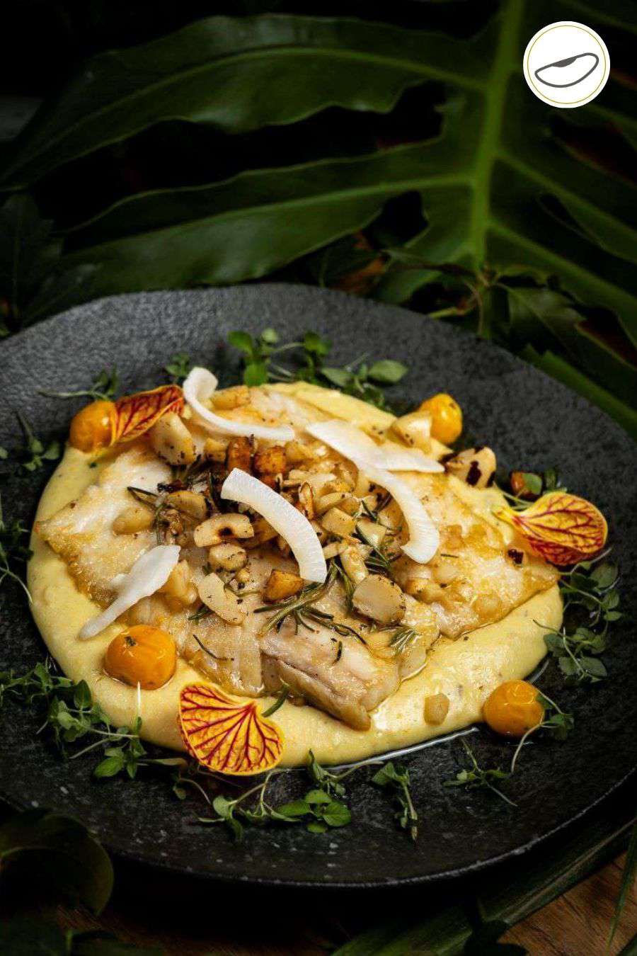 dish img