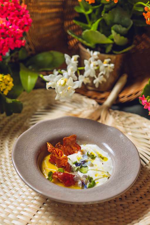 dish img